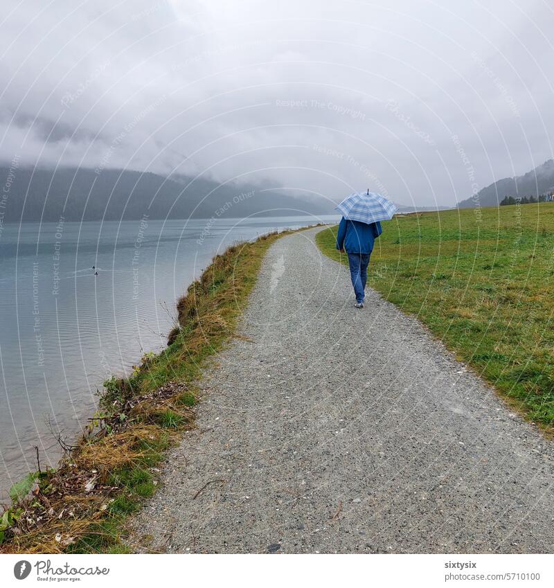 Spaziergang am See bei Regen spazieren Spazieren gehen Natur Außenaufnahme Landschaft Farbfoto laufen Regenschirm Seeufer-See Mann Mensch ruhig Einsamkeit