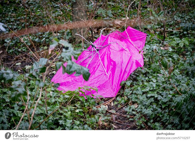 Pinker Schirm im Grünen Umweltverschmutzung Abfall Müllhalde Müllentsorgung Kanal immobilien wohnen Starke Tiefenschärfe Urbanisierung Textfreiraum rechts