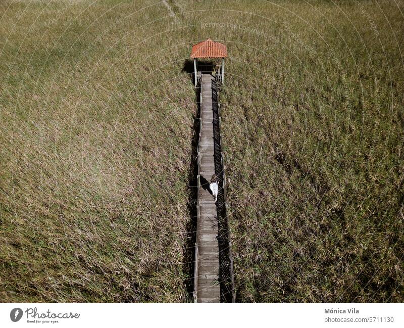 Ein Besucher geht auf dem hölzernen Flusspfad von Catoira. Holzsteg über das Feuchtgebiet neben dem Fluss Ulla in Catoira. schlendern catoira Natur Weg