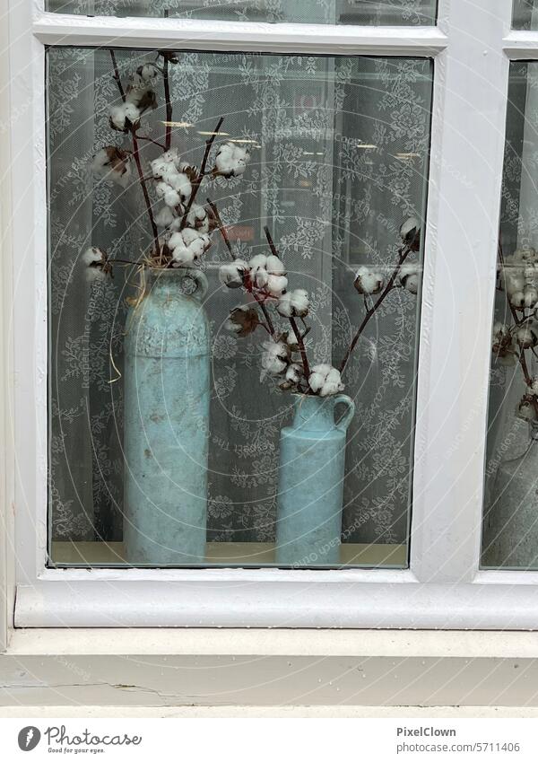 Blaue Vase mit Trockenblumen im Fenster Blumen natürliches Licht romantisch Blütenblätter Tageslicht natürliche Farbe Frühlingsblumen Natur Romantik