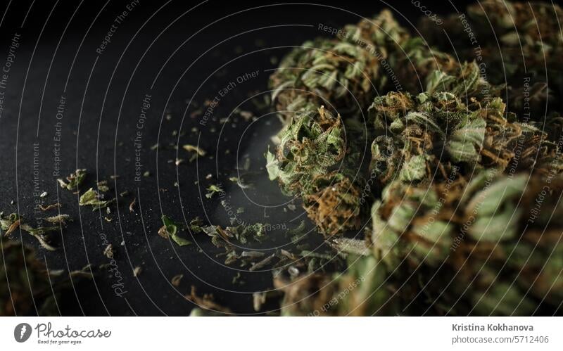 Legales medizinisches Cannabis, Rauchen von Unkraut, Freizeitdroge. Hanfernte Blütenknospen Medikament wachsen Marihuana Natur Pflanze Sativa grün Kraut Blatt