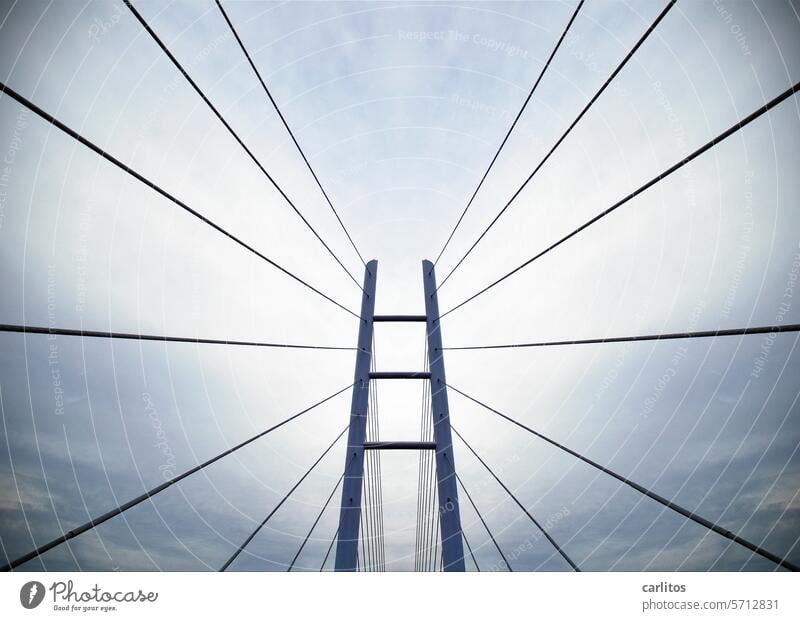 Fluchtpunkt | Rügen-Brücke mit offenen Armen Zentralperspektive Drahtseil Pylon Rügenbrücke Perspektive Gegenlicht Himmel Bauwerk Architektur Verkehrswege