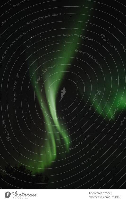 Faszinierende Nordlichter über Island Nachthimmel Spektakel natürlich Anzeige ätherisch Lichtbogenbildung atemberaubend grün astronomisches Phänomen dunkel