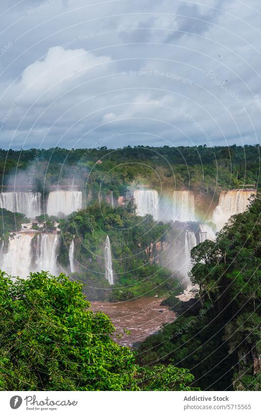 Blick auf die Iguazu-Wasserfälle inmitten von üppigem Grün iguazu Wasserfall Kaskade Brasilien südbrasilien Natur Regenwald majestätisch kampfstark Schönheit