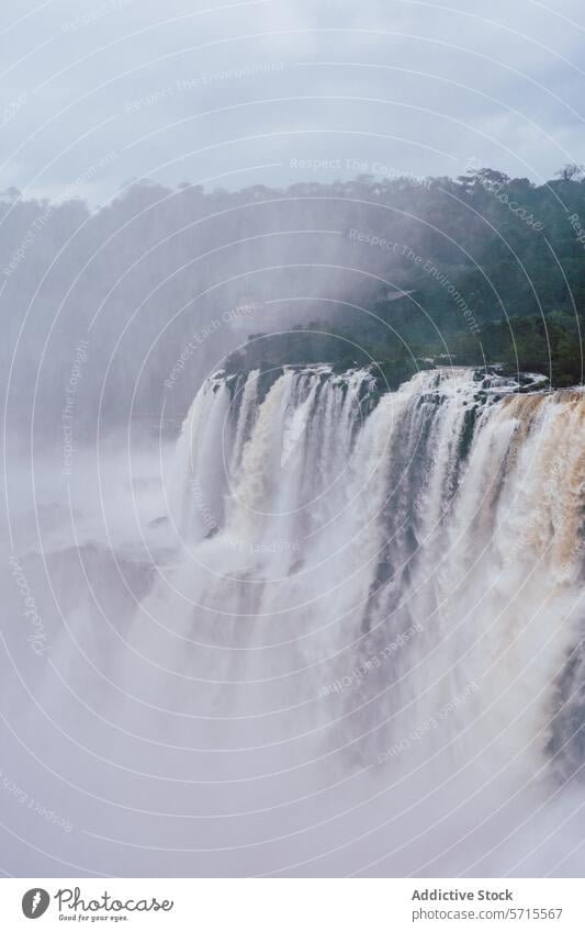 Neblige Iguazu-Fälle in Nordargentinien Iguazu Fälle Argentinien Wasserfall Nebel Natur Landschaft Wald reisen Südamerika Naturwunder Tourismus neblig Kaskade