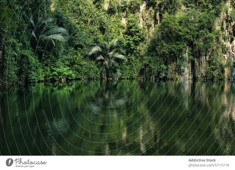 Üppiger malaysischer Regenwald, Fluss und Kalksteinfelsen malaysia tropisch Klippen Gelassenheit üppig (Wuchs) grün Natur Landschaft Wasser Wald Dschungel