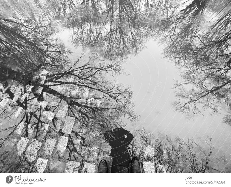 Mensch spiegelt sich in einer Pfütze mit Bäumen Baum silhouetten Silhouette Spiegelung Pfützenspiegelung Nebel bewölkt Nebelstimmung trüb trübes Wetter trist