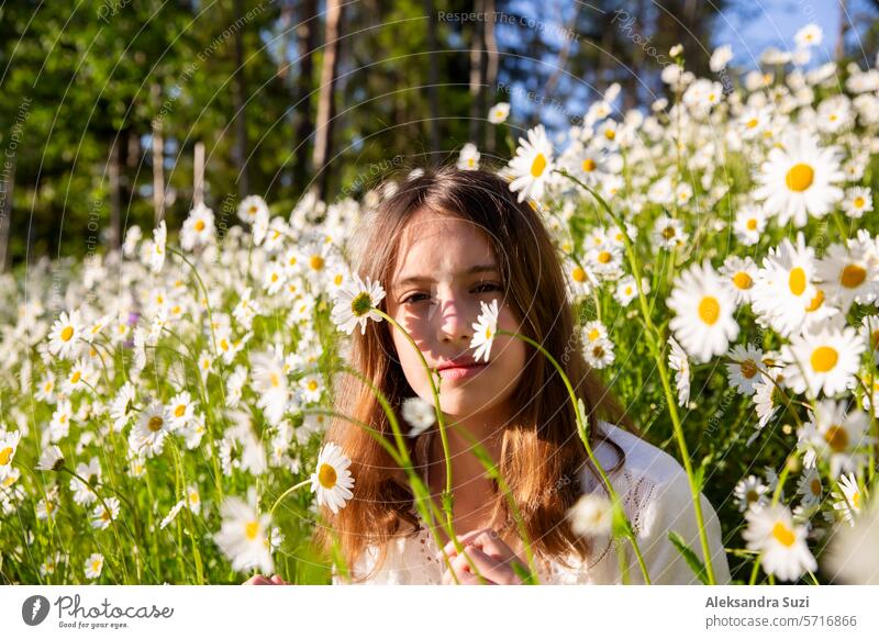 Mädchen sitzt auf einer Wiese mit Wildblumen. Hintergrund des Feldes mit blühenden Gänseblümchen. Sonniger Sommertag, Strahlen des Lichts. Sommerurlaub Konzept