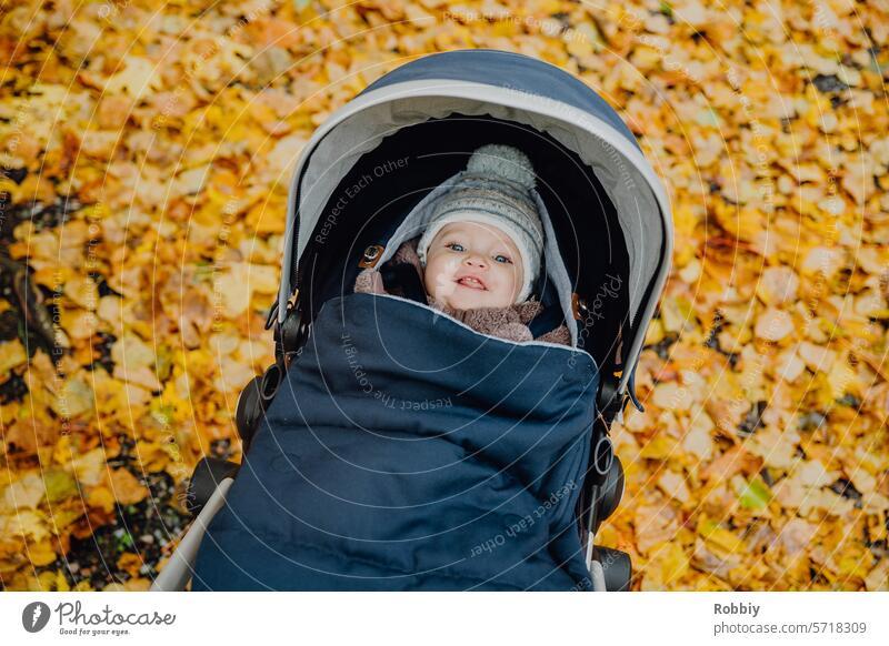 Baby im Kinderwagen mit Herbstblättern im Hintergrund Kleinkind Blätter Kindheit Familie Säugling Eltern gelb jung Mama spazieren Spaziergang Ausflug