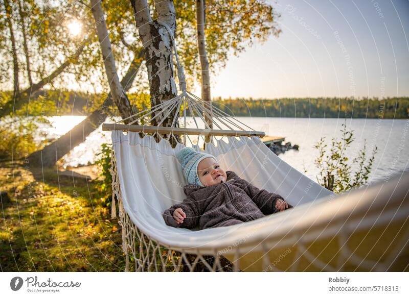 Baby in Hängematte an einem See in Schweden Kleinkind Herbst Kind Kindheit Natur Farbfoto Außenaufnahme Mensch Ferien & Urlaub & Reisen Lifestyle niedlich