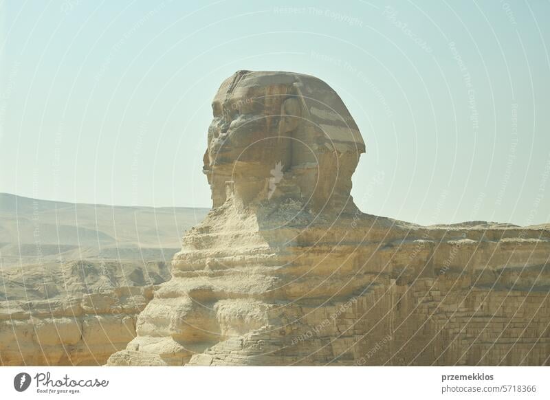 Große Sphinx von Gizeh. Statue eines Fabelwesens. Monumentale Skulptur in Ägypten. Meistbesuchtes ägyptisches Wahrzeichen antik reisen Pyramiden Historie Kairo