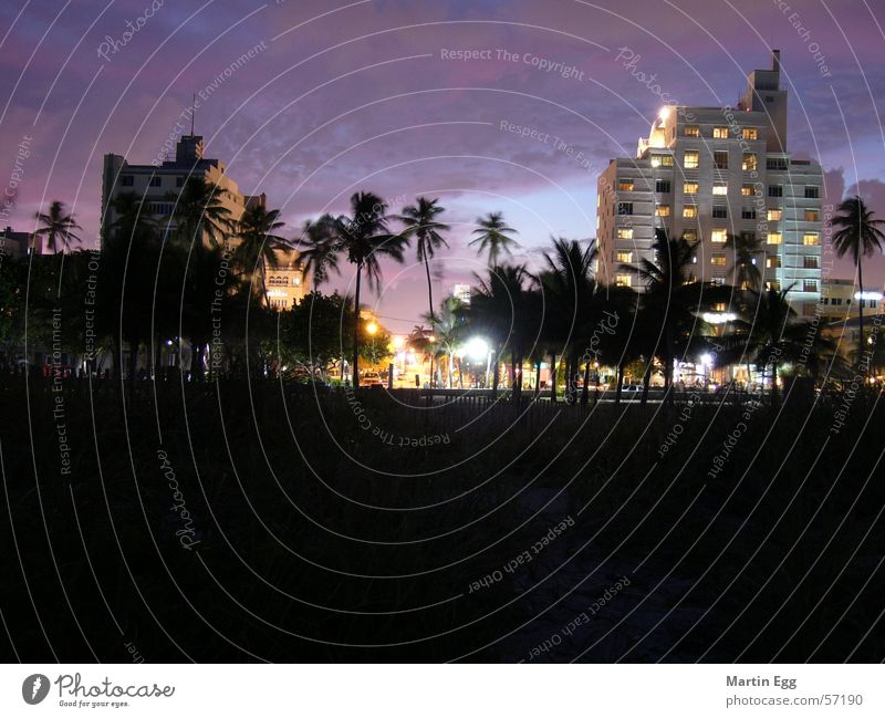 Miami Beach Florida Ferien & Urlaub & Reisen Sonnenuntergang Art deco Palme Strand south beach Architektur