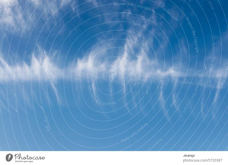 Fischgrätenhimmel Cirrus fibratus vertebratus Klima Urelemente Schönes Wetter Natur Wolken Himmel Wolkenhimmel Hintergrundbild blau Luft Wolkenformation