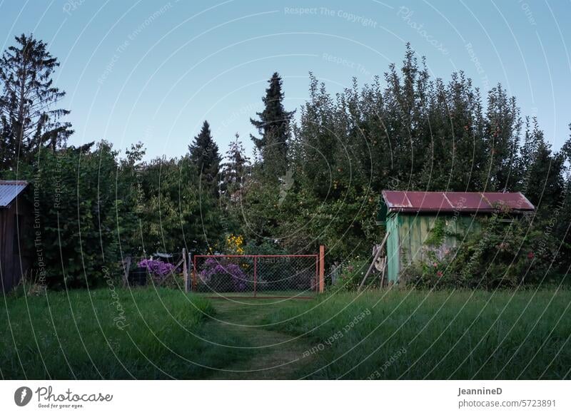 Weg zum Garten mit Gartenhaus schrebergarten Kleingarten Geräteschuppen grün Wege & Pfade erholung Schrebergarten Erholung Natur Naturschutzgebiet Naturliebe