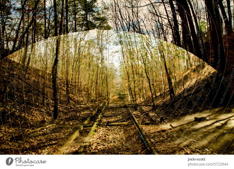 oben drüber und unten durch Gleise Brücke lost places Natur Vergänglichkeit Doppelbelichtung Reaktionen u. Effekte Silhouette außergewöhnlich Illusion