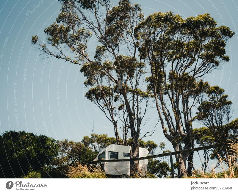 glücklicher Stellplatz für den Wohnwagen Camping Anhänger Ferien & Urlaub & Reisen Wohnmobil Bäume Häusliches Leben Sommerurlaub Lifestyle Tasmanien Mobilität