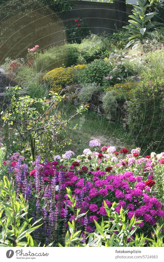 Blumengarten Garten Steinmauer Gartenblumen bunt Gartenpflanzen Gartenbau pink Idylle Pflanzen Gartengestaltung