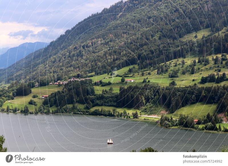 Alpsee-Landschaft mit Segelboot See Wald Berg Berghang Natur Berge u. Gebirge Alpen Ferien & Urlaub & Reisen Tourismus Tal grün Segelschiff Hügel Wasser