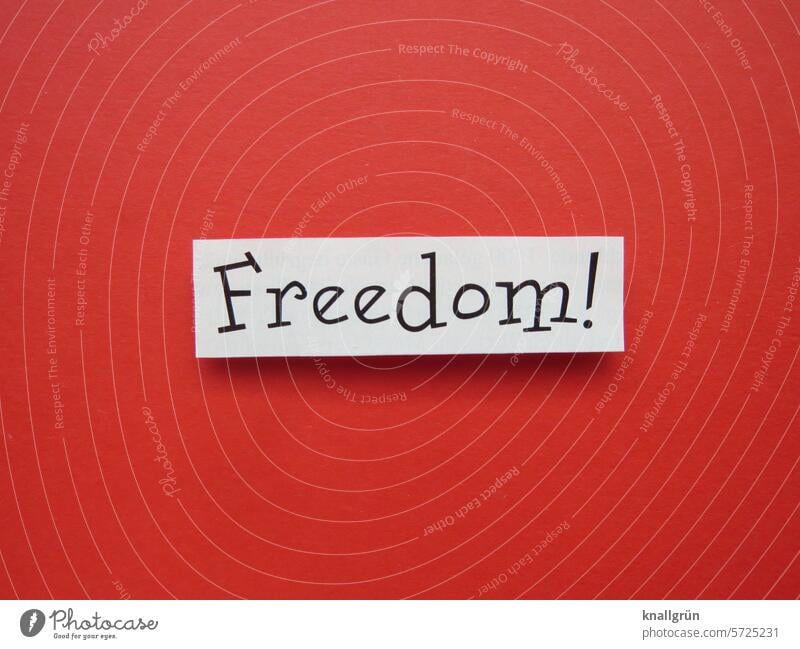 Freedom! Freiheit Text freedom englisch Erwartung Stimmung Schriftzeichen Buchstaben Wort Typographie Sprache Kommunizieren Kommunikation Mitteilung Gefühle
