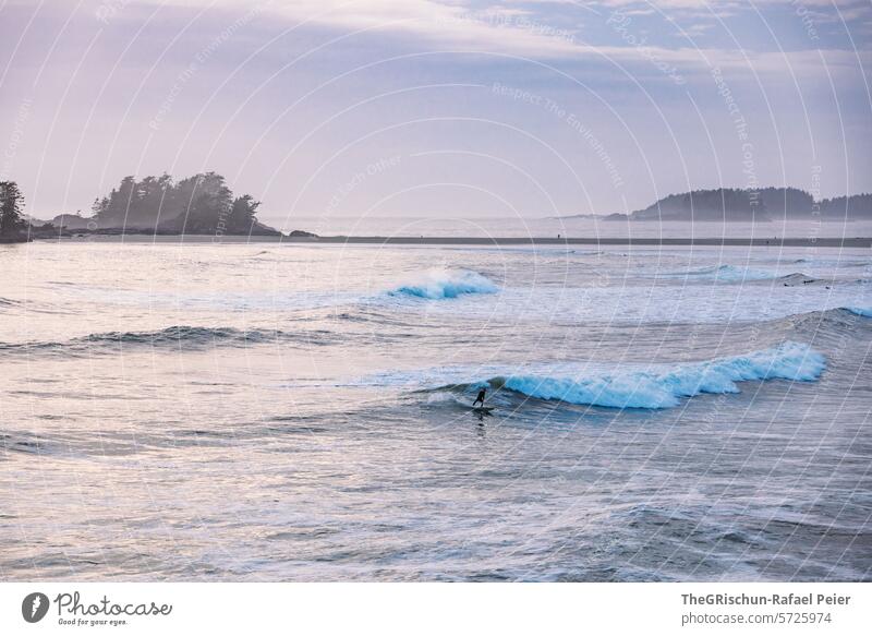 Surfer nimmt die letzte Welle vor dem eindunkeln wild cox bay Vancouver Island Bäume Baum meer Gischt Wellen Kanada British Columbia Meer Nordamerika Wasser