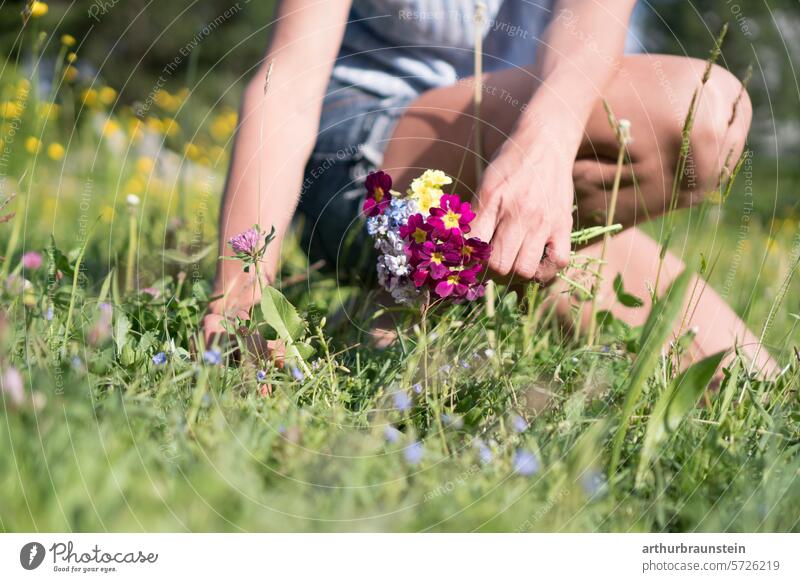 Junge Frau pflückt Rotklee und Wiesenblumen im Garten in der Sonne im Frühling zum Kochen mit Blüten blüten essen natur Wiesenpflanzen Gartenarbeit Gartenblume