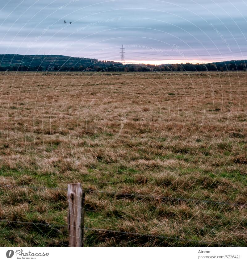 Melancholie Feld ländlich Flachland entfernt landwirtschaftlich Ackerland weit weg Feuchtgebiet Nutzfläche Wiese feucht menschenleer Ebene flach Gras Landschaft