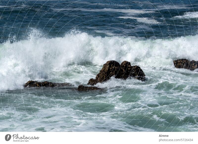 das ewige Rauschen Wellen Meer Stein frisch Wasser weiß Felsen gigantisch blau Gischt tosend hell Kraft Urelemente gefährlich Gewalt Bewegung