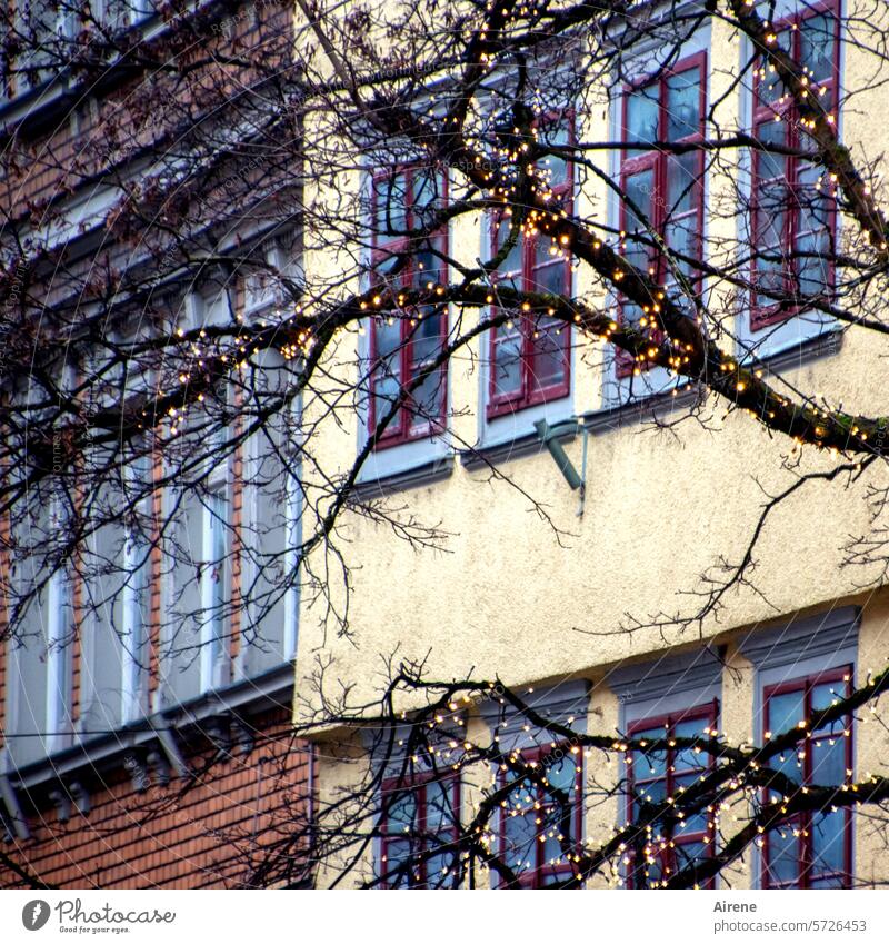 Alles, was mit UN anfängt | unattraktive Weihnachtsdeko traurig Tristesse Äste Abend Weihnachtsbeleuchtung Fenster Fassade Stadthaus Weihnachten & Advent