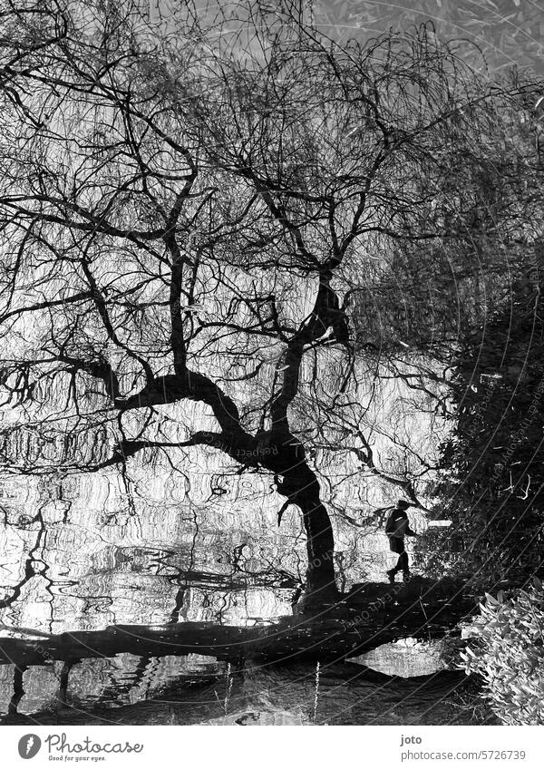 Spiegelung eines Baumes und einem Kind im Wasser Spiegelung im Wasser Herbst herbstlich herbstliche Stimmung Schwarzweißfoto Silhouette Schattenspiel