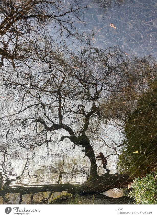 Spiegelung eines Baumes und einer Person im Wasser Spiegelung im Wasser Herbst herbstlich herbstliche Stimmung Schwarzweißfoto Silhouette Schattenspiel