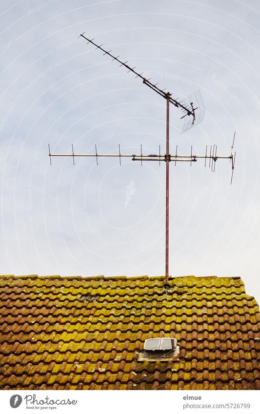 Fernsehantenne auf einem bemoosten Ziegeldach mit Dachfenster Antenne auf Empfang Dachziegel Kommunikation elektromagnetische Wellen Außenantenne Blog