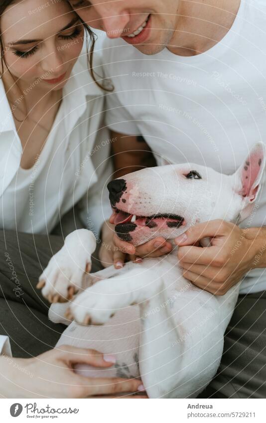 junges Paar Kerl und Mädchen in einem hellen Raum spielen mit Haustier Baustein braun Eckstoß Hund Ohren Freund grau Typ Licht Männerfreund Nase rosa sanft