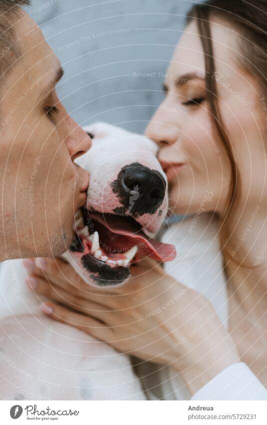 junges Paar Kerl und Mädchen in einem hellen Raum spielen mit Haustier Baustein braun Eckstoß Hund Ohren Freund grau Typ Licht Männerfreund Nase rosa sanft