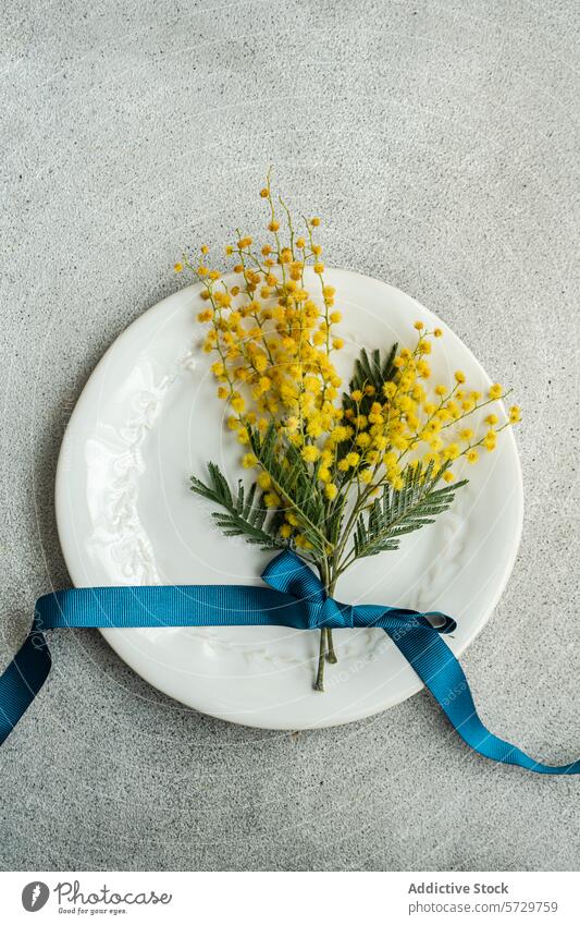 Von oben hält ein verschnörkelter weißer Teller einen leuchtenden Strauß Mimosenblüten, elegant gebunden mit einem tiefblauen Band auf einer strukturierten grauen Oberfläche