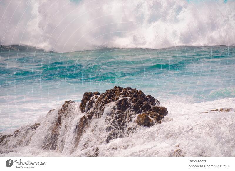 ein Fels in der Brandung Wellen Meer Natur Küste Gischt Felsen abfließen Wellengang Urelemente Pazifik Australien Kraft Wellenbruch Naturgewalt Bewegungsenergie