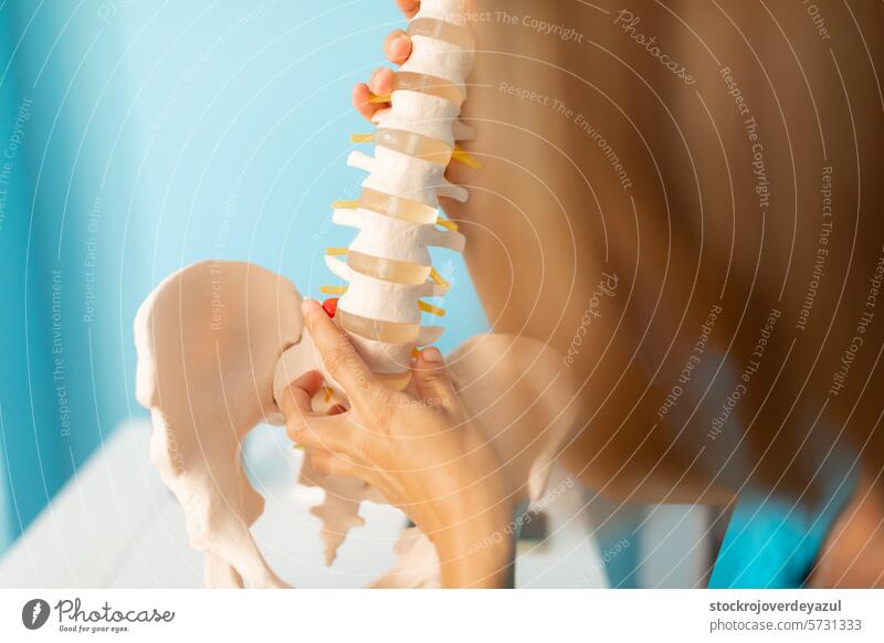 Ein Physiotherapeut erklärt ein Problem mit Schmerzen im unteren Rückenbereich anhand eines anatomischen Skeletts, das auf den Hüftbereich zeigt