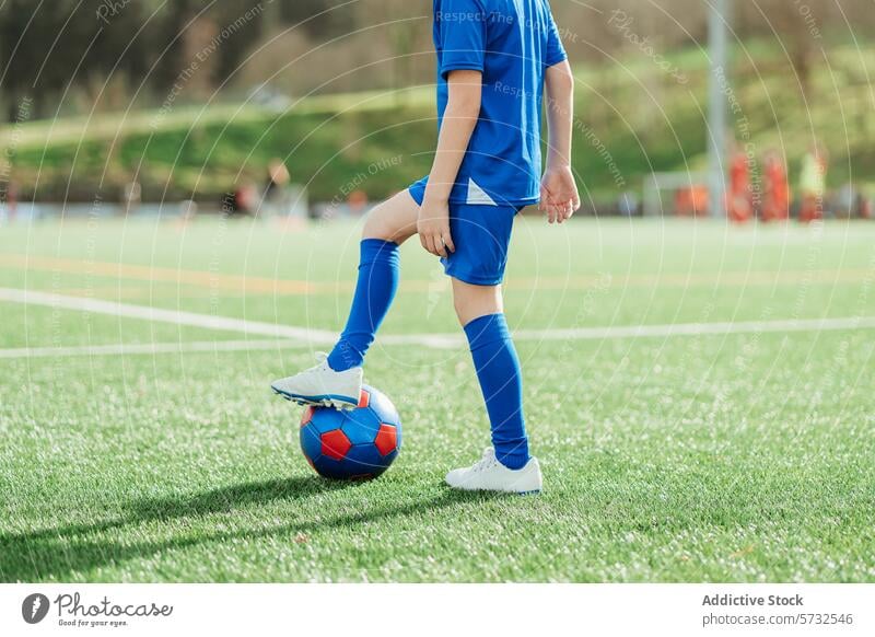 Junger Fußballspieler bereit, den Ball auf dem Feld zu treten Spieler Kind Sportbekleidung blau grün sonnig Tag Team verschwommen Hintergrund spielen Jugend