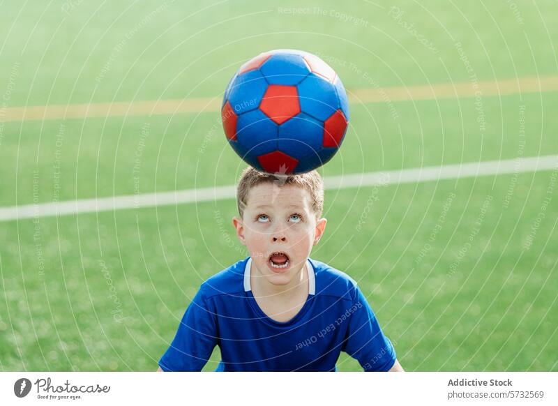 Junger Fußballspieler balanciert Ball auf dem Kopf Gleichgewicht Konzentration Trikot blau rot jung Sport Spieler Feld Gras im Freien spielen Fähigkeit Training