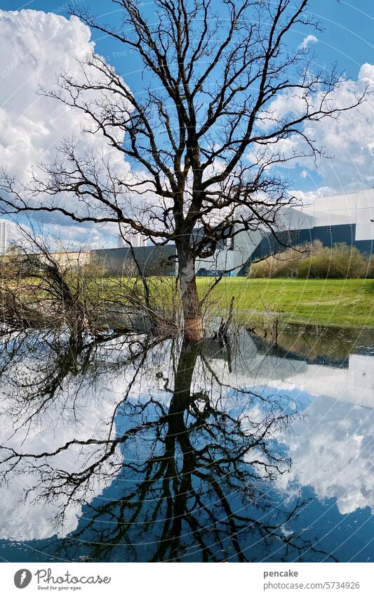 mein allerletztes lieblingsthema | niemals geht man so ganz Baum Wasser Spiegelung Reflexion & Spiegelung See Natur Landschaft Wasserspiegelung Idylle Ruhe