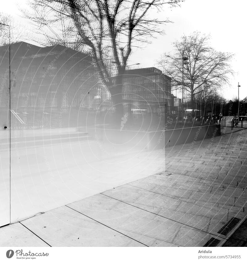 Leeres Schaufenster mit Spiegelung s/w Bäume Häuser Stadt Winter Äste leer Gehweg Glas Reflexion & Spiegelung Fenster Gebäude Fassade Architektur Scheibe