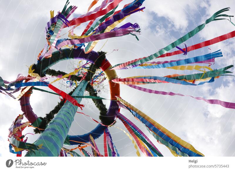 Maibaum mit flatternden Bändern Tradition Frühling Dekoration Kranz Froschperspektive Himmel Wolken wehen windig Stamm Außenaufnahme Feste & Feiern