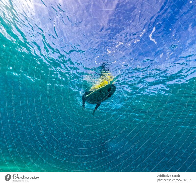 Unterwasseransicht eines Surfers auf Fuerteventura unter Wasser Paddeln winken blau übersichtlich Meer MEER Surfbrett Abenteuer aquatisch Sport aktiv Lifestyle