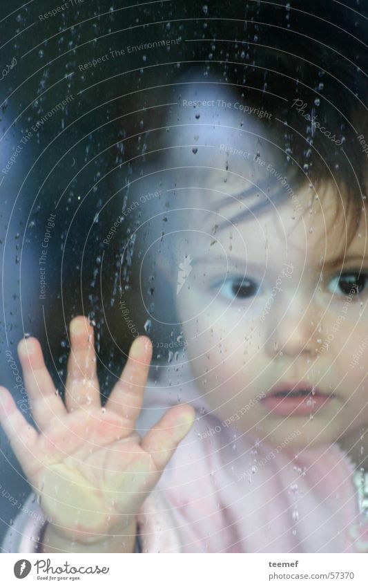 Rainy Day Mädchen Kind Porträt Regen Herbst Hand Atem Neugier Fenster Glasscheibe Gesicht Auge
