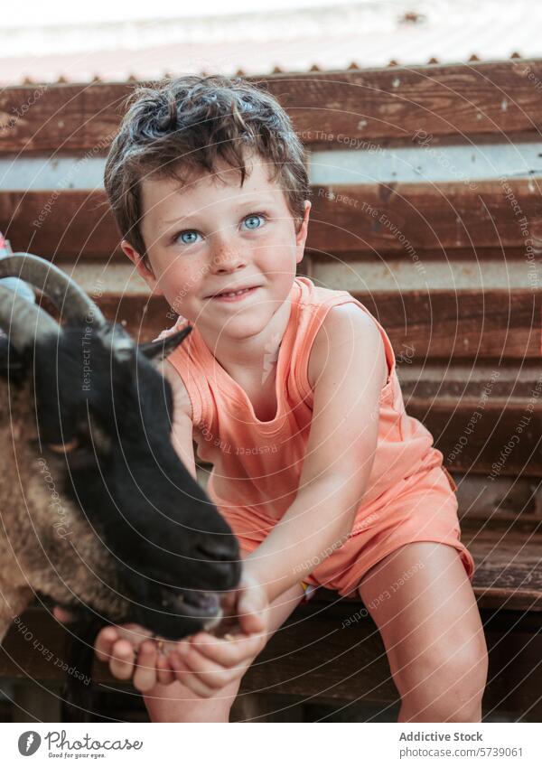 Ein Junge mit strahlenden Augen lächelt, als er eine Ziege füttert. Er genießt die praktische Erfahrung in einer Bauernhofschule in der warmen Sommerzeit