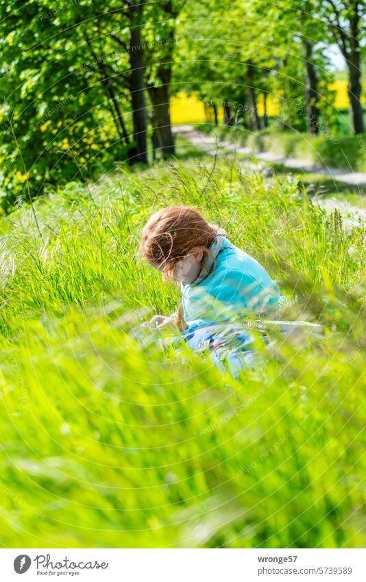 Zeichnen in der Natur Feldstudie Mädchen sitzend im Gras Talentförderung Begabung zeichnen Zeichnung Kreativität Farbe malen Freizeit & Hobby Frühling Frühjahr