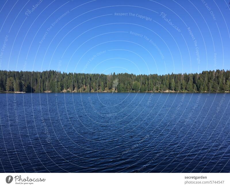 Horizontale Wolkenlosigkeit über drüben Wald Norwegen Skandinavien See Wasser Himmel quer tief ruhig entspannen Urlaub Wälder Einsamkeit Menschenleer Natur