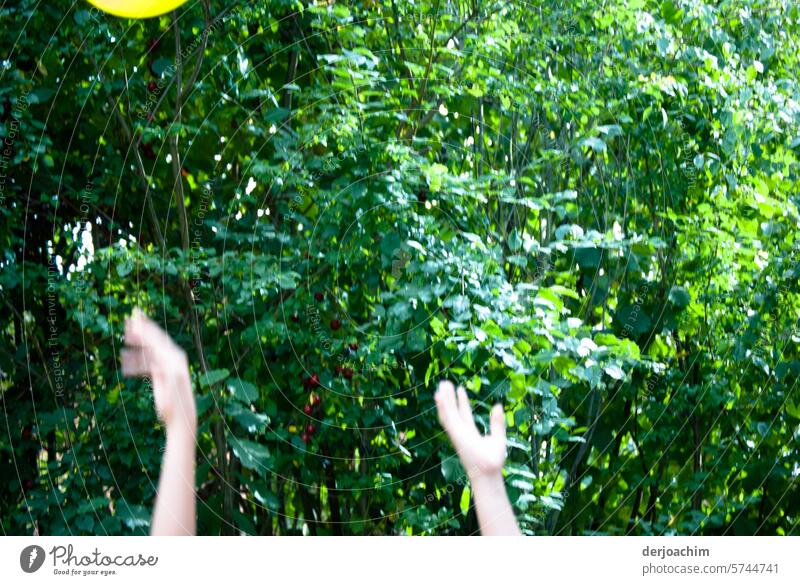Spiele im Garten mit Luftballons fangen. luftballons fliegen Party Freude Feste & Feiern mehrfarbig Lebensfreude Sommer Glück Fröhlichkeit fangen-spielen bunt