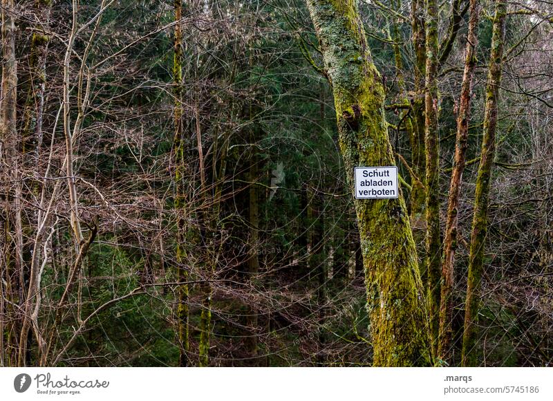 Schutt Abladen verboten Wald Herbst kahl kalt Schilder & Markierungen Umweltverschmutzung Verbote Natur Naturschutz Baum dunkel