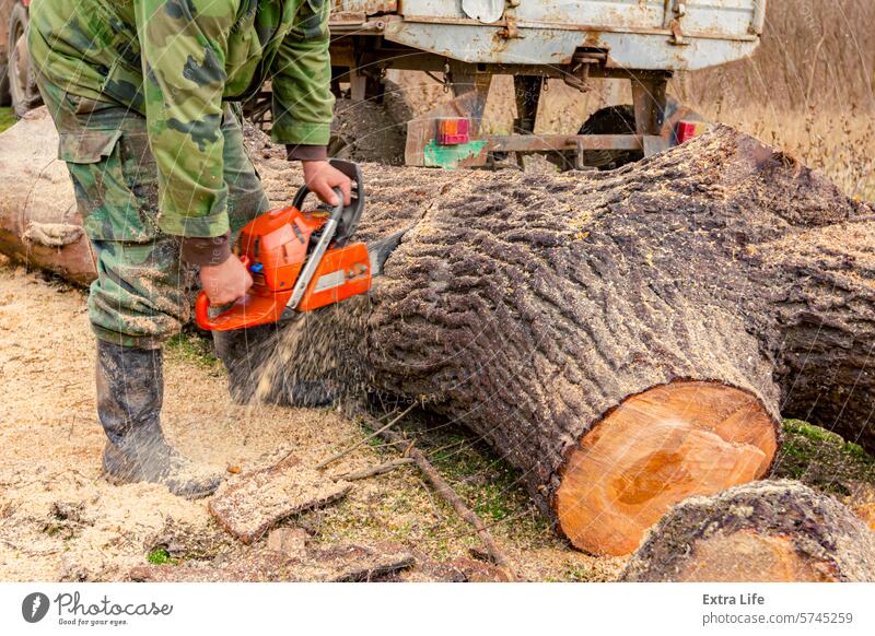 Holzfäller, Holzfäller, schneidet Brennholz, Holzstämme, mit Motorkettensäge Klinge anketten Kettensäge hacken geschnitten Entwaldung Ökologie gefällt Feller