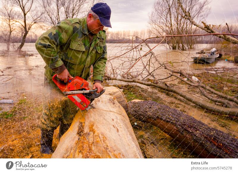 Holzfäller, Holzfäller, schneidet Brennholz, Holzstämme, mit Motorkettensäge in der Nähe des Flusses Bank Haufen anketten Kettensäge hacken Küste Querschnitt